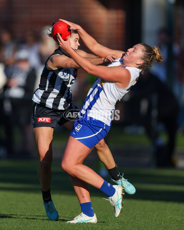 VFLW 2025 Qualifying Final - North Melbourne Werribee v Collingwood - A-61239948