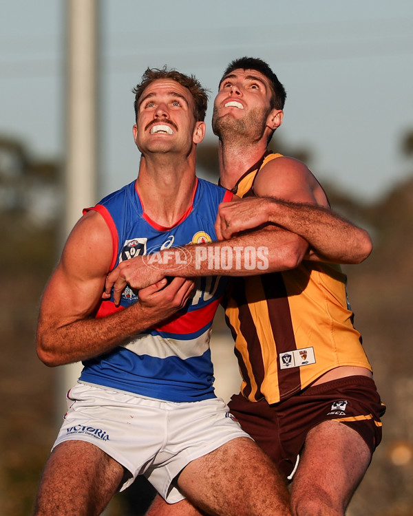 VFL 2025 Round 20 - Box Hill v Footscray - A-61239971