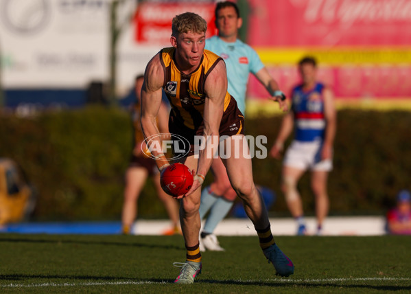 VFL 2025 Round 20 - Box Hill v Footscray - A-61239972