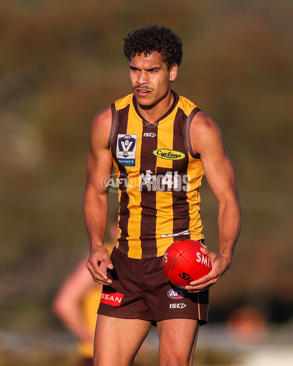 VFL 2025 Round 20 - Box Hill v Footscray - A-61239973