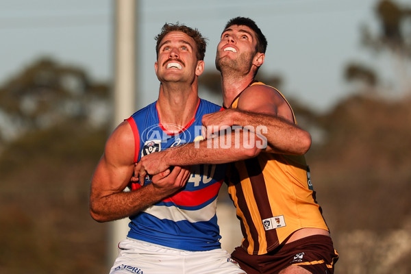VFL 2025 Round 20 - Box Hill v Footscray - A-61239975