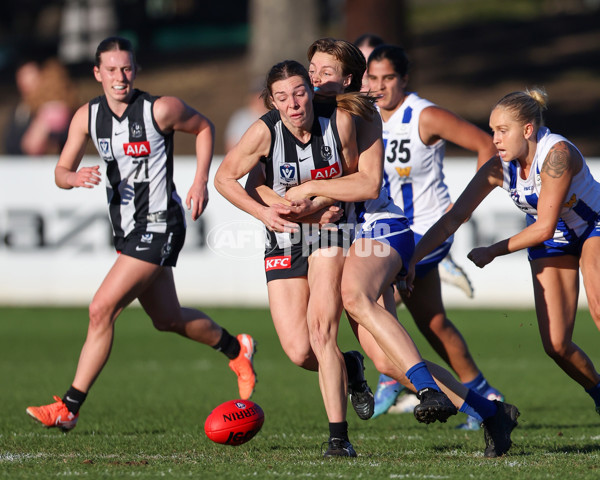 VFLW 2025 Qualifying Final - North Melbourne Werribee v Collingwood - A-61239987