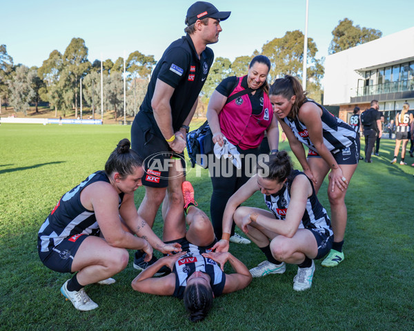 VFLW 2025 Qualifying Final - North Melbourne Werribee v Collingwood - A-61239994
