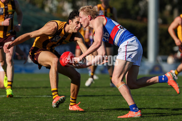 VFL 2025 Round 20 - Box Hill v Footscray - A-61240000