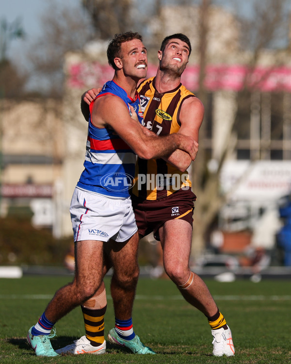 VFL 2025 Round 20 - Box Hill v Footscray - A-61240004