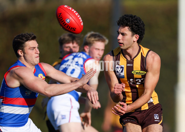 VFL 2025 Round 20 - Box Hill v Footscray - A-61240007