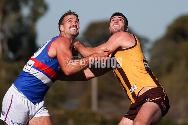 VFL 2025 Round 20 - Box Hill v Footscray - A-61240008