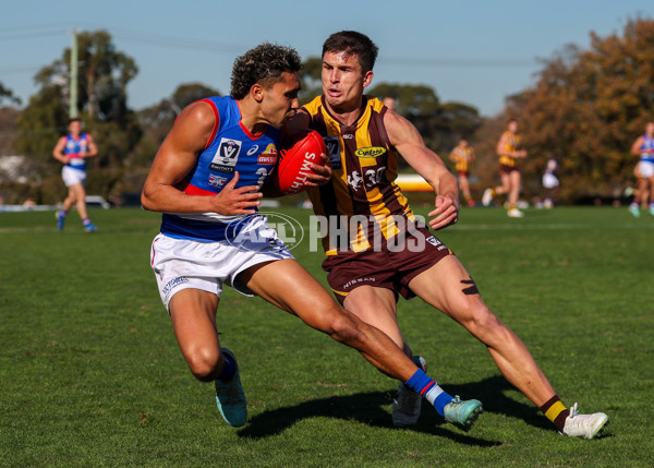 VFL 2025 Round 20 - Box Hill v Footscray - A-61241073