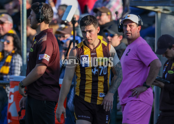 VFL 2025 Round 20 - Box Hill v Footscray - A-61241076