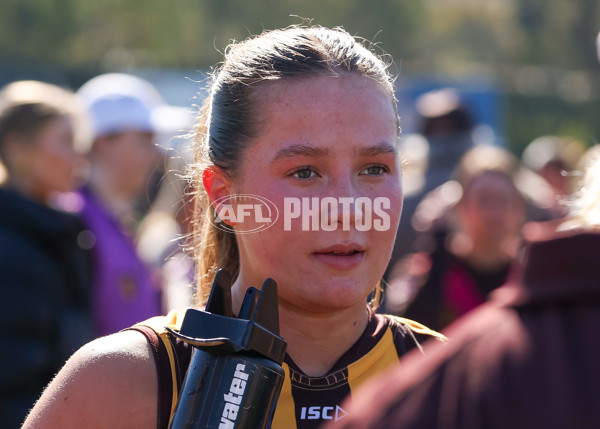 VFLW 2025 Elimination Final 1 - Box Hill v Essendon - A-61241091