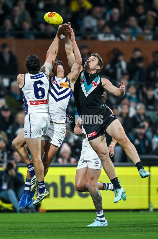 AFL 2025 Round 22 - Port Adelaide v Fremantle - A-61242849