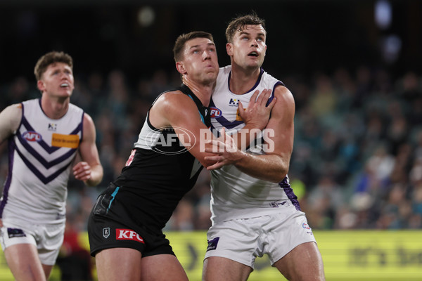 AFL 2025 Round 22 - Port Adelaide v Fremantle - A-61242864
