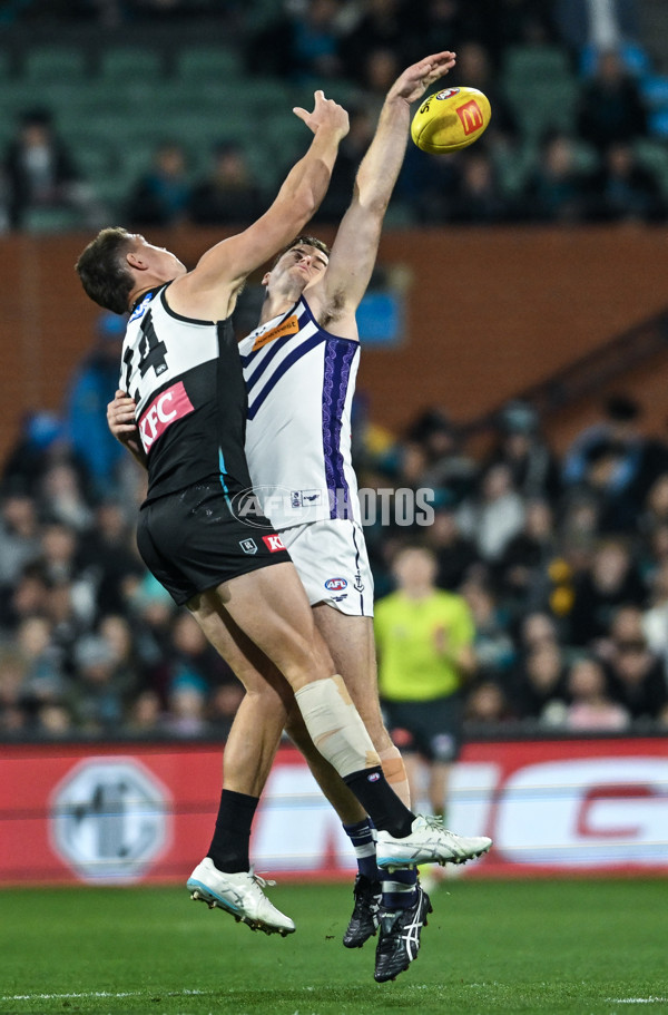AFL 2025 Round 22 - Port Adelaide v Fremantle - A-61244398