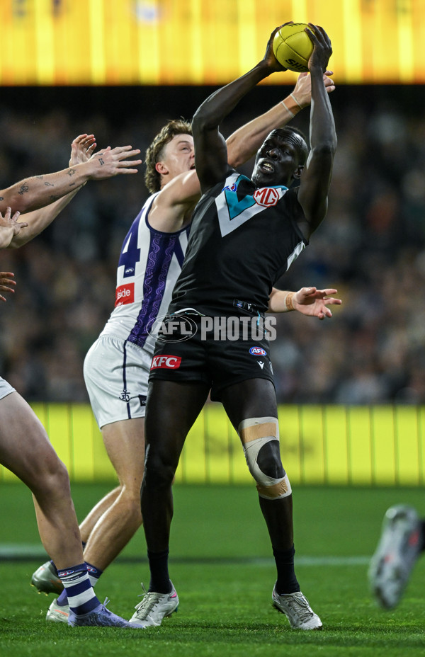 AFL 2025 Round 22 - Port Adelaide v Fremantle - A-61244441