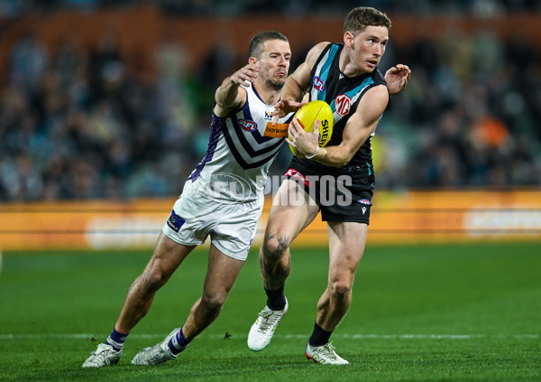 AFL 2025 Round 22 - Port Adelaide v Fremantle - A-61244452