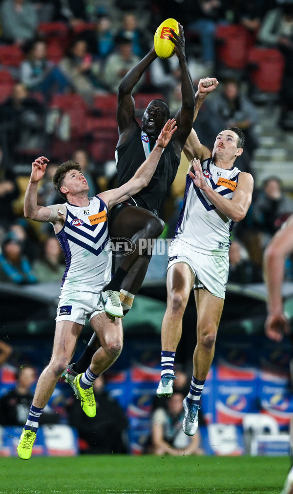 AFL 2025 Round 22 - Port Adelaide v Fremantle - A-61244456