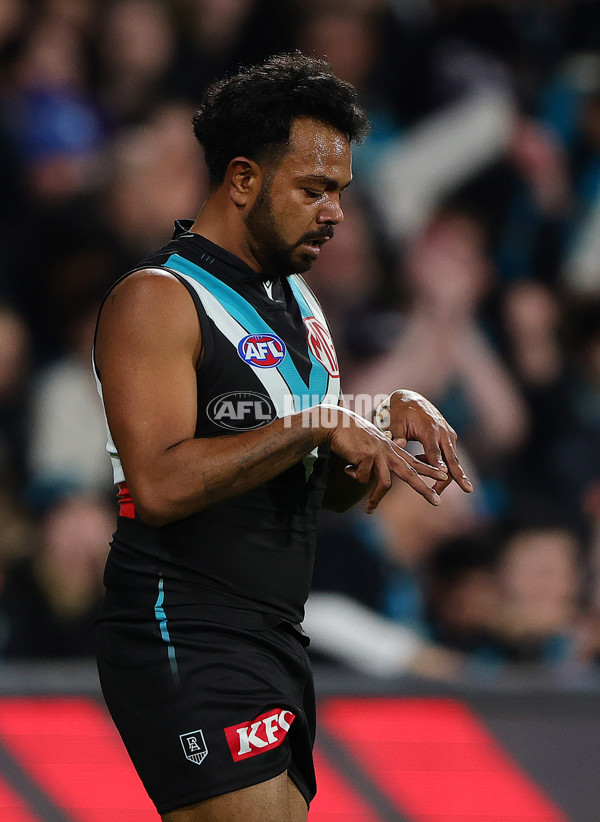 AFL 2025 Round 22 - Port Adelaide v Fremantle - A-61245649