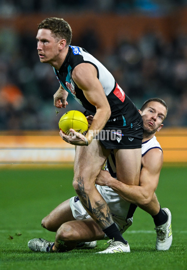 AFL 2025 Round 22 - Port Adelaide v Fremantle - A-61247311
