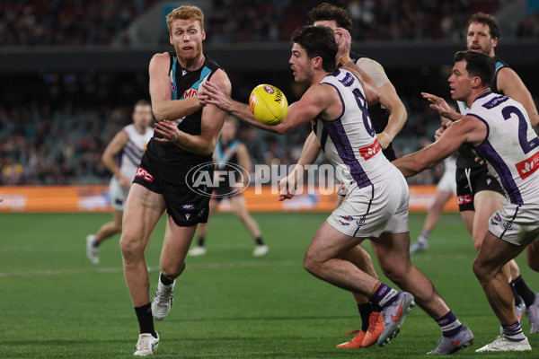 AFL 2025 Round 22 - Port Adelaide v Fremantle - A-61247333