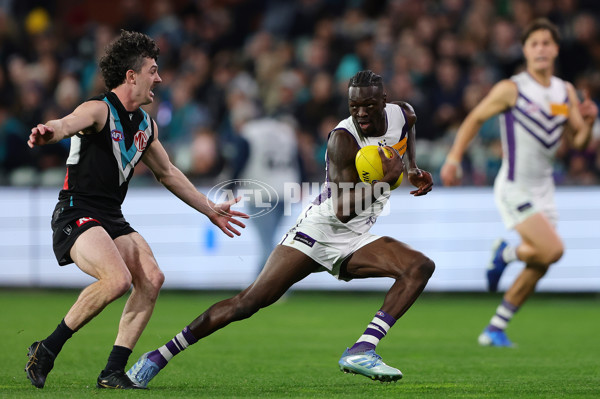 AFL 2025 Round 22 - Port Adelaide v Fremantle - A-61247355