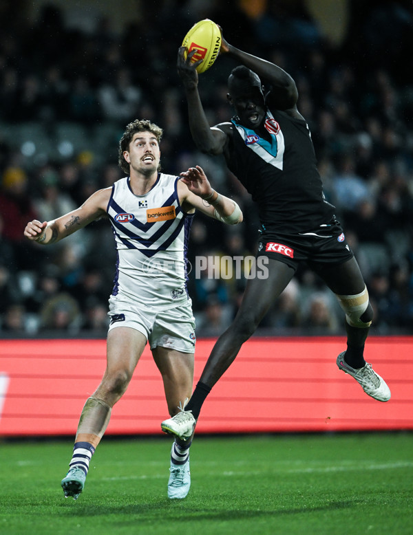 AFL 2025 Round 22 - Port Adelaide v Fremantle - A-61247389