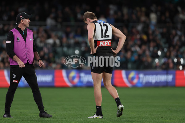 AFL 2025 Round 22 - Port Adelaide v Fremantle - A-61247402