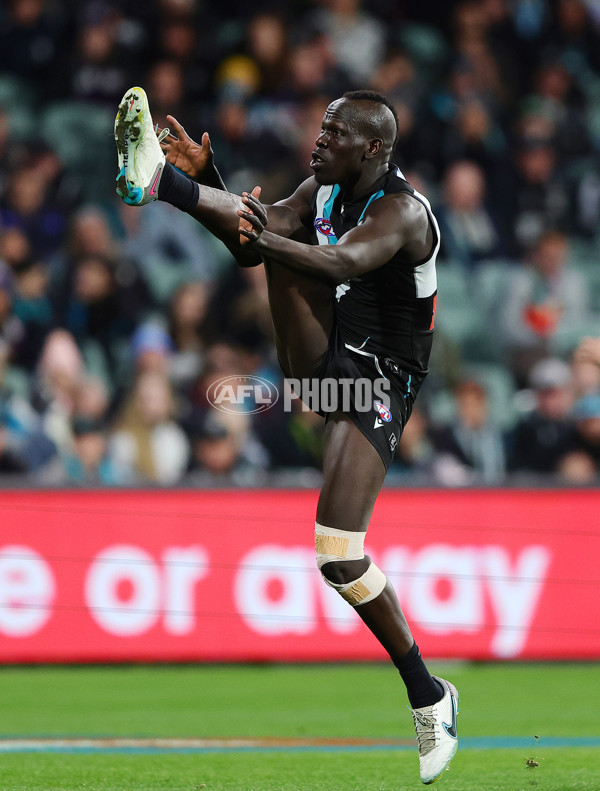 AFL 2025 Round 22 - Port Adelaide v Fremantle - A-61248234