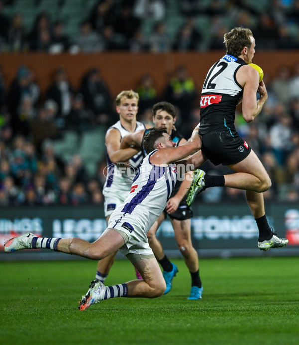 AFL 2025 Round 22 - Port Adelaide v Fremantle - A-61248245