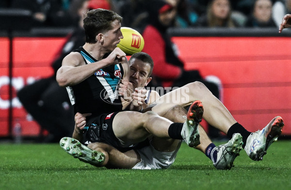 AFL 2025 Round 22 - Port Adelaide v Fremantle - A-61248298