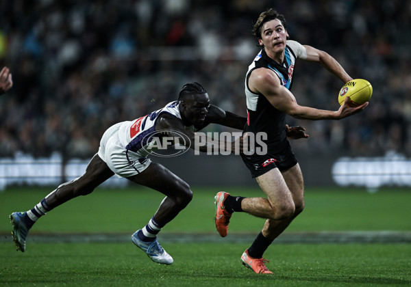 AFL 2025 Round 22 - Port Adelaide v Fremantle - A-61250043