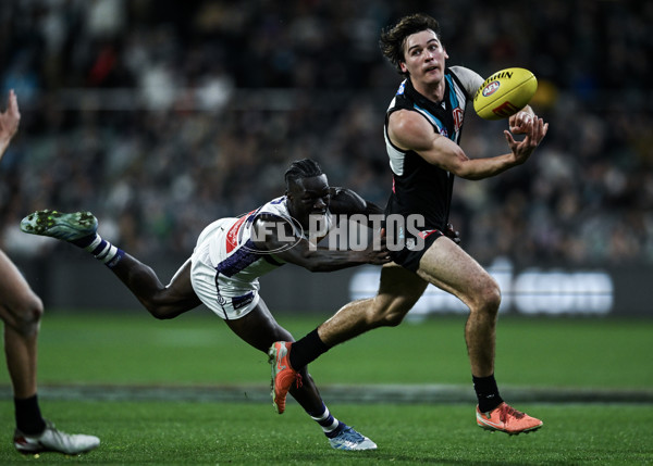 AFL 2025 Round 22 - Port Adelaide v Fremantle - A-61250750