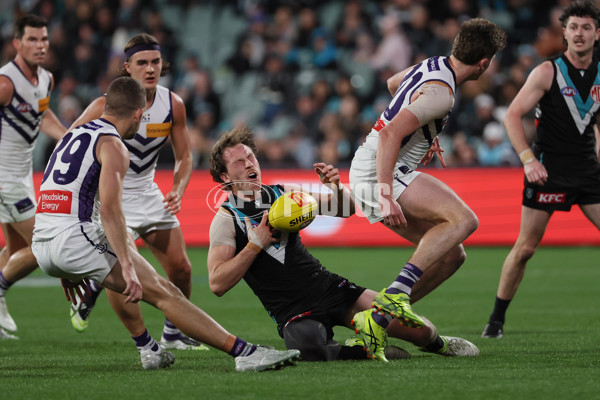 AFL 2025 Round 22 - Port Adelaide v Fremantle - A-61250751