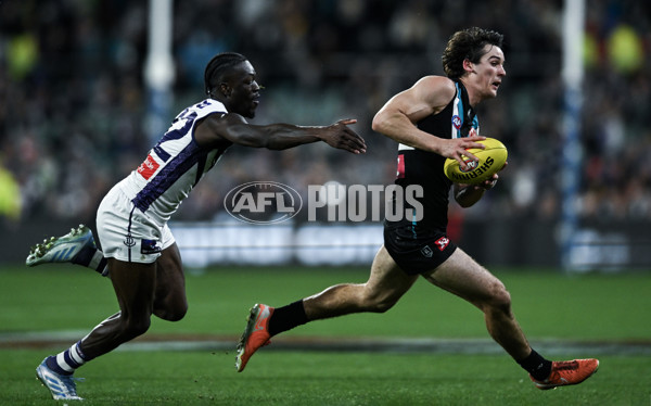 AFL 2025 Round 22 - Port Adelaide v Fremantle - A-61250752