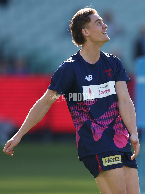 AFL 2025 Round 22 - Melbourne v Western Bulldogs - A-61255669