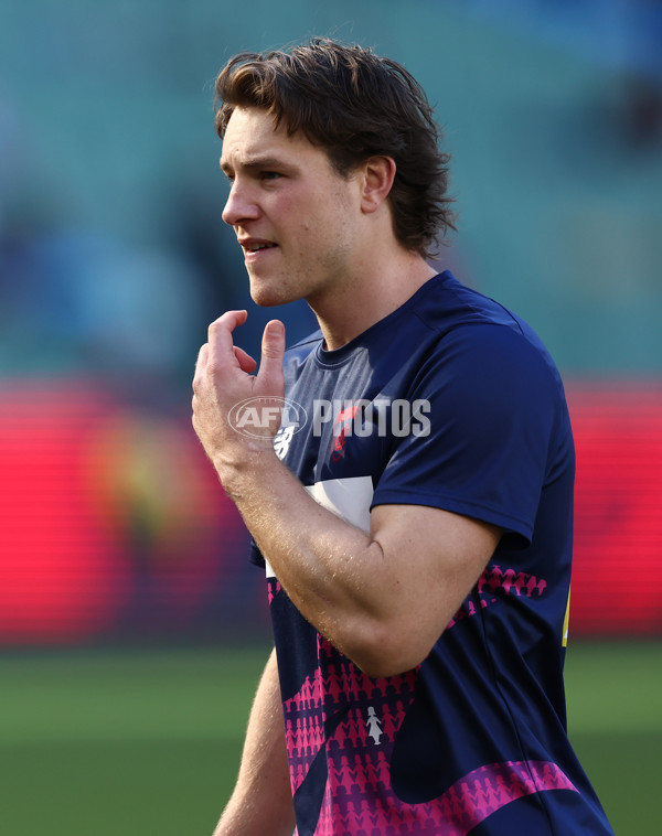 AFL 2025 Round 22 - Melbourne v Western Bulldogs - A-61256244