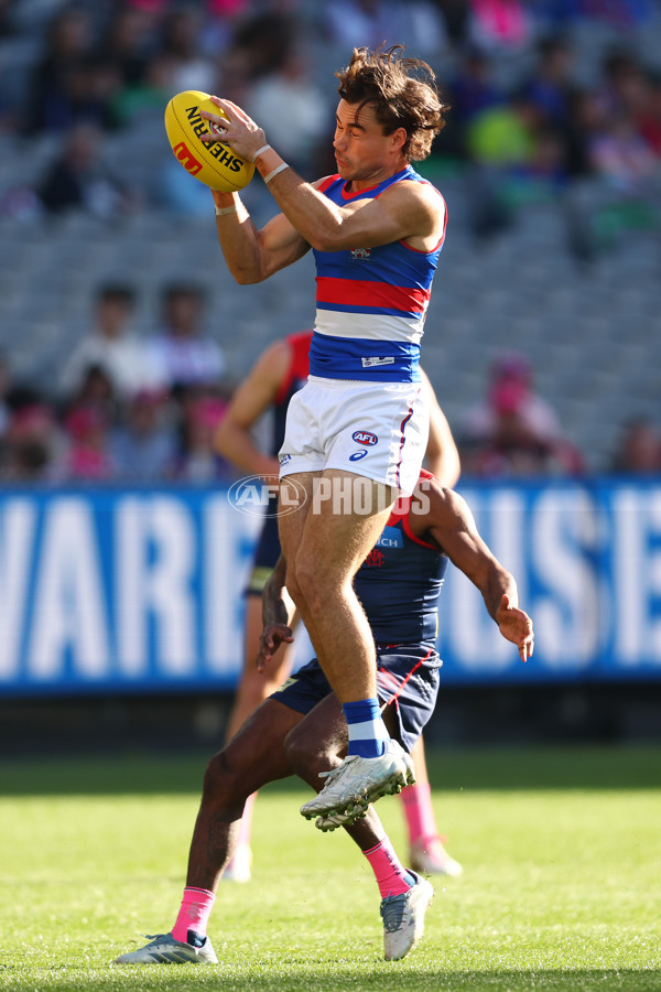 AFL 2025 Round 22 - Melbourne v Western Bulldogs - A-61259408