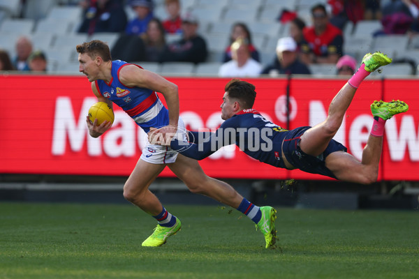 AFL 2025 Round 22 - Melbourne v Western Bulldogs - A-61259417