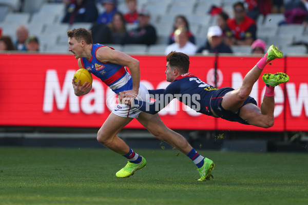 AFL 2025 Round 22 - Melbourne v Western Bulldogs - A-61261256