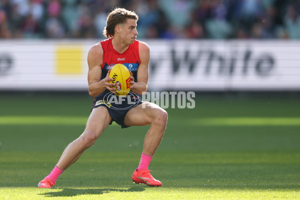 AFL 2025 Round 22 - Melbourne v Western Bulldogs - A-61261277