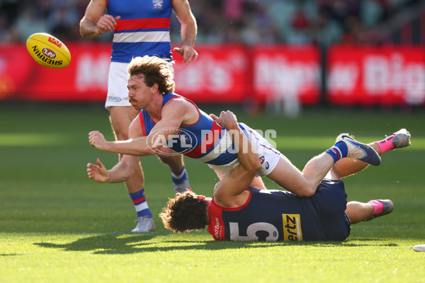 AFL 2025 Round 22 - Melbourne v Western Bulldogs - A-61261307
