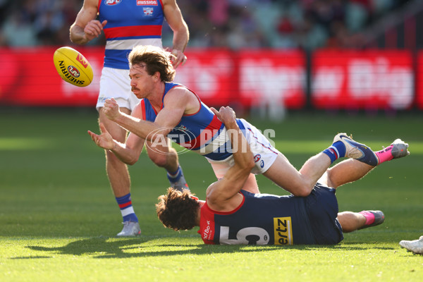 AFL 2025 Round 22 - Melbourne v Western Bulldogs - A-61261308