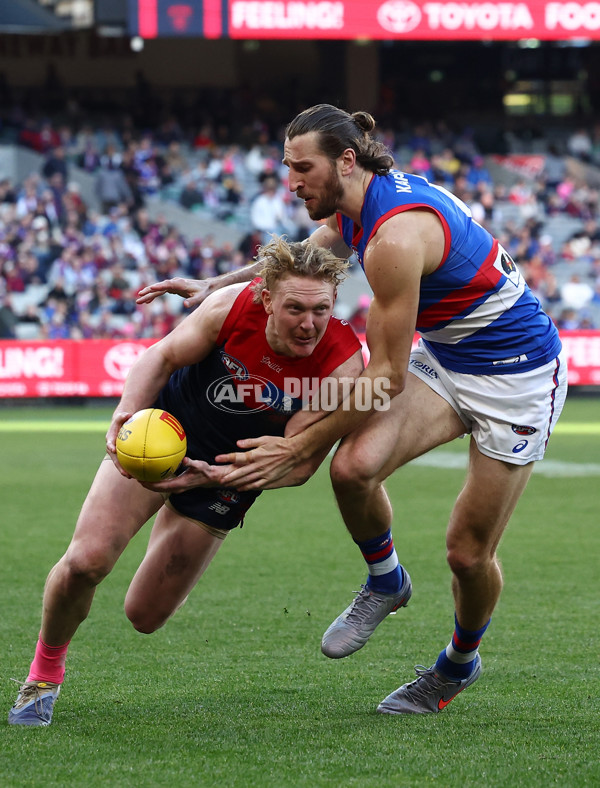 AFL 2025 Round 22 - Melbourne v Western Bulldogs - A-61261989