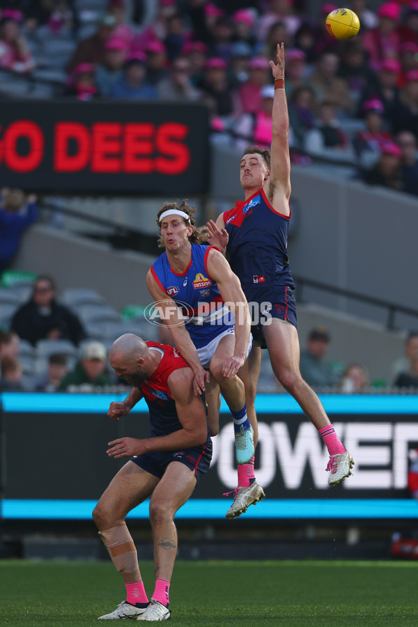 AFL 2025 Round 22 - Melbourne v Western Bulldogs - A-61261998