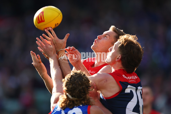 AFL 2025 Round 22 - Melbourne v Western Bulldogs - A-61262034