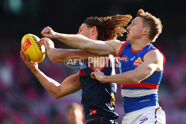 AFL 2025 Round 22 - Melbourne v Western Bulldogs - A-61262041