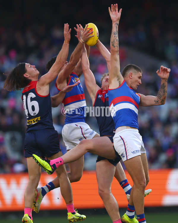 AFL 2025 Round 22 - Melbourne v Western Bulldogs - A-61264286