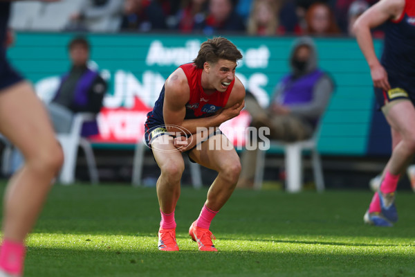 AFL 2025 Round 22 - Melbourne v Western Bulldogs - A-61264332