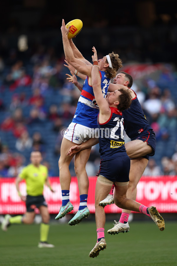 AFL 2025 Round 22 - Melbourne v Western Bulldogs - A-61267137