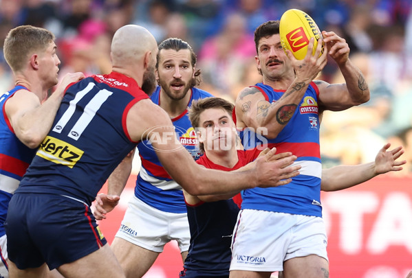 AFL 2025 Round 22 - Melbourne v Western Bulldogs - A-61267561