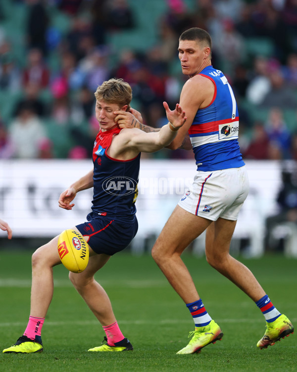 AFL 2025 Round 22 - Melbourne v Western Bulldogs - A-61269967